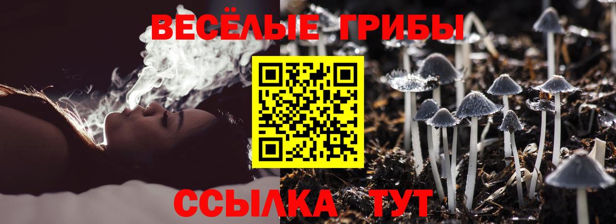 Киржач  как найти закладки  Галлюциногенные грибы ЛСД  Вход с VPN  Псилоцибиновые грибы Magic Shrooms 